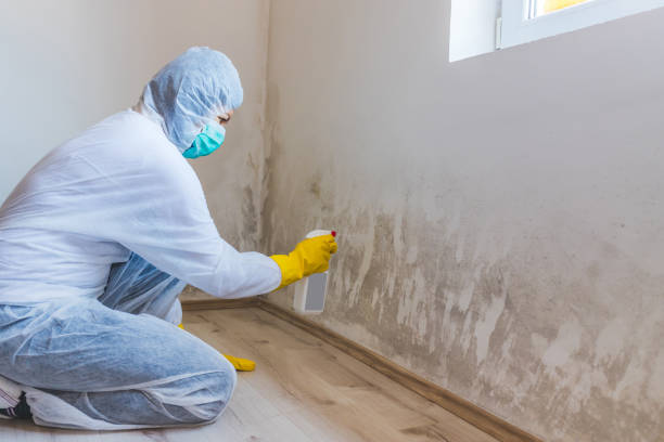 Crawl Space Mold Remediation treatment of floor joists in Somerville
